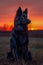 Majestic Black Dog Sitting in Golden Sunset Light in Countryside, Elegant Canine Profile Against Vibrant Evening Sky