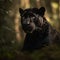 The Majestic Black Jaguar in the Forest