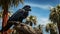 A majestic black palm cockatoo perched on a weathered tree stump