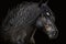 Majestic Black Stallion with Flowing Mane - Horse Portrait. AI