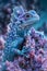 Majestic Blue Iguana Basking on Intricate Coral Textured Perch in Vivid Fantasy Wildlife Scene