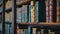 A majestic bookshelf with various eclectic collections of many ancient books.