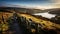 Majestic British Landscapes: Stunning Bay With Stone Fence At Sunrise