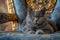 Majestic British Shorthair Cat Sitting Elegantly on Luxurious Blue Sofa with Ornate Background