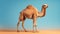 A majestic camel standing in the vast desert landscape