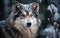Majestic Canine Portrayal, High-Resolution Siberian Dog Image, Generative Ai