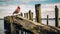 Majestic Cardinal Perched On Old Pier By Lake Michigan