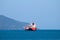 Majestic Cargo Journeys: Cargo Ships Sailing the Adriatic Sea