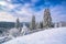 Majestic carpathian winter