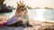 Majestic cat wearing a golden crown sits atop a sandy beach, AI-generated.