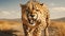 Majestic cheetah in African wilderness, beauty in nature danger generated by AI