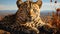 Majestic cheetah, striped beauty, staring at camera in wilderness generated by AI
