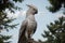 Majestic Cockatoo A Captivating Wildlife Encounter.AI Generated