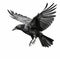 Majestic Crow in Flight on White Background, Generative AI