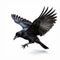 Majestic Crow in Flight on White Background, Generative AI