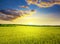 Majestic dawn and blue sky with clouds over ripe wheat field