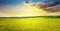 Majestic dawn and blue sky with clouds over summer wheat field