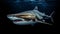 Majestic Deep-Sea Predator: Portrait of a Shark in Enigmatic Darkness