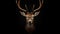 Majestic Deer Head Contrasts With Black Backdrop