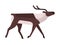 Majestic deer, reindeer flat vector illustration. Wild stag, wapiti minimalistic sign. Forest fauna, woodland wildlife