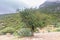 Majestic Djebel Zaghouan: Tunisia\\\'s Stunning Mountain