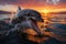 Majestic dolphin jumps from sea, sunrise and sunset wallpaper