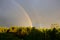 Majestic double rainbow over the forest in a stormy sky