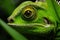 Majestic Dragon. Vibrant Close-Up Portrait in Lush Green Jungle, Captured with Anamorphic Lens