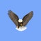 Majestic eagle in flight vector illustration