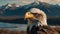 Majestic Eagle Portrait Against Mountain Backdrop