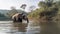 Majestic Elephant Drinking in Morning River