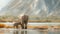 A majestic elephant mother and her adorable baby roam peacefully amidst a breathtaking natural landscape, with towering mountains