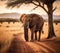 A majestic elephant stands in the middle of a dirt road in the African savanna, with a beautiful sunset in the