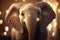 The Majestic Elephant: A Stunning Animated Portrait in Unreal Engine