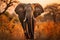 A majestic elephant walking through a savannah.