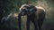 Majestic elephant walks through wet tropical forest generated by AI