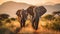 Majestic Elephants in South African Savannah