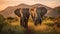 Majestic Elephants in South African Savannah
