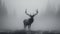 Majestic elk in morning mist antlers piercing through foggy silence, monochrome mystery