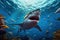 Majestic Encounter A Shark\\\'s Graceful Swim in the Ocean\\\'s Sunlit Waters. created with Generative AI