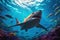 Majestic Encounter A Shark\\\'s Graceful Swim in the Ocean\\\'s Sunlit Waters. created with Generative AI