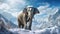 Majestic Encounter: White Asian Elephant Against Snowy Mountain