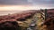 Majestic English Moors: Serene Heath With Stone Fence At Sunrise