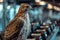 Majestic Falcon in a Modern Gym. Generative AI