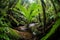 Majestic Fern in Rainforest Oasis