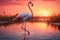 Majestic Flamingo at Sunset Graceful in Tranquil Waters
