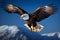 Majestic flight eagle soars against a captivating backdrop of blue