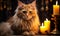 Majestic Fluffy Orange Cat with Piercing Eyes Illuminated by Candlelight in a Vintage Styled Room