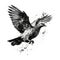 Majestic Flying Dove with an Attitude in Black and White for Posters and Web.