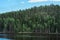 Majestic forest and picturesque river northern scenic environment Karelia